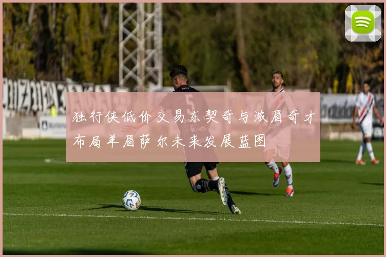 独行侠低价交易东契奇与浓眉奇才布局羊眉萨尔未来发展蓝图